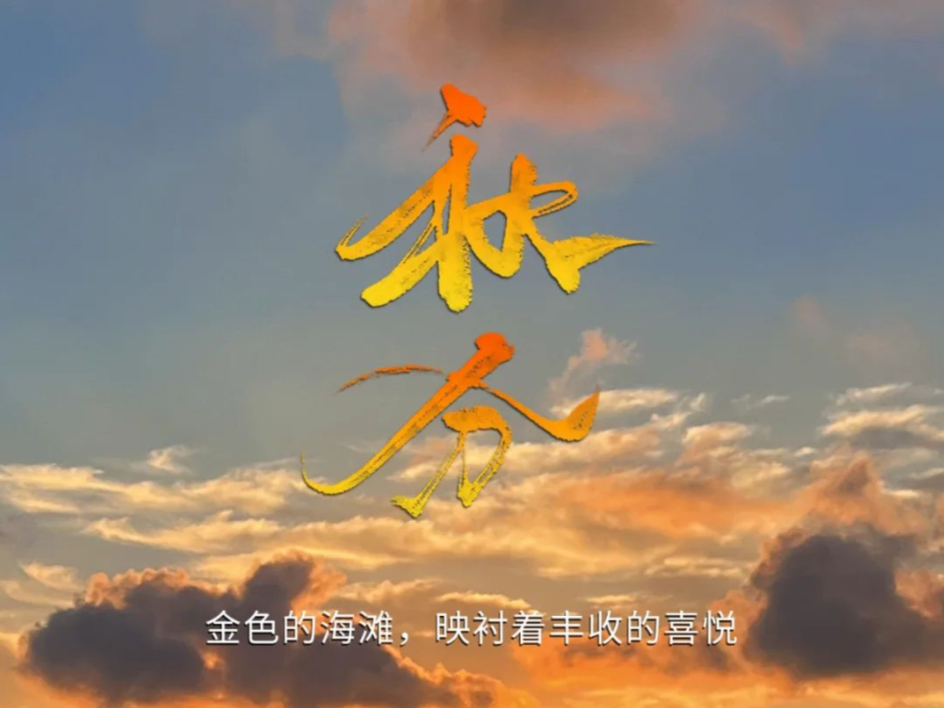秋分 | 金色的海灘，映襯著豐收的喜悅
